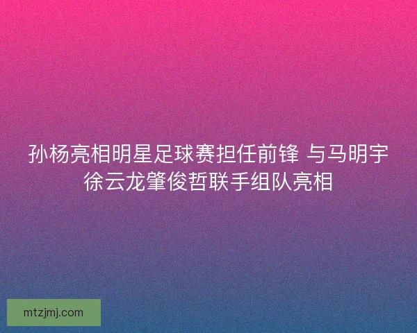 孙杨亮相明星足球赛担任前锋 与马明宇徐云龙肇俊哲联手组队亮相